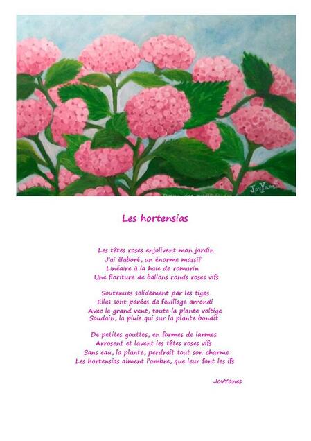 les hortensias   ( Amourjoie ouverture sur la vie)